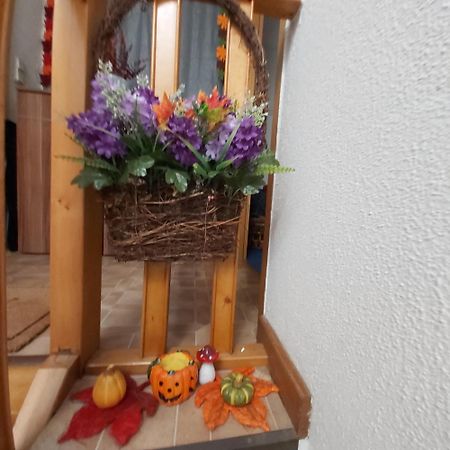 Kleine Altstadt Oase Apartment Bernkastel-Kues Ngoại thất bức ảnh
