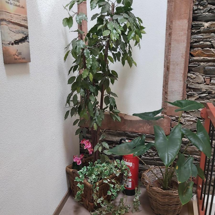 Kleine Altstadt Oase Apartment Bernkastel-Kues Ngoại thất bức ảnh